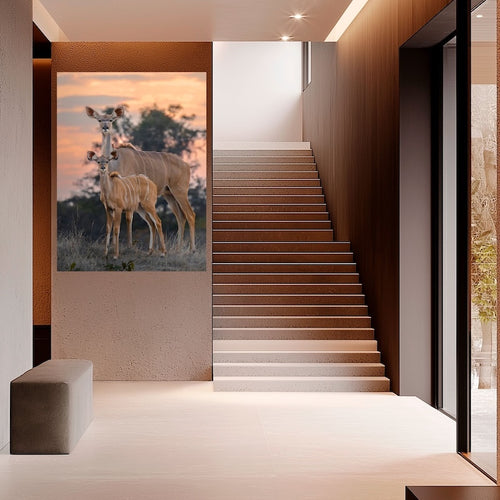 Antilope kudu moeder met jong op acrylglas.  Grote foto in de gang. Gemaakt door Julia Eilert 