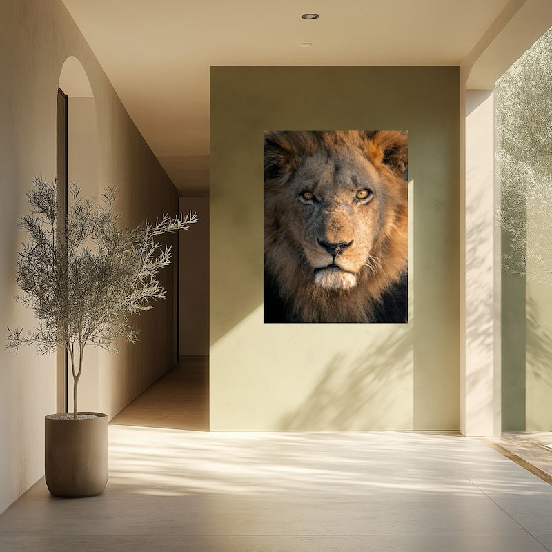 Leeuw wanddecoratie op acrylglas - grote foto gang woonkamer - Unshaken, Julia Eilert